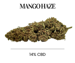 Fleurs de CBD Bio Premium Mango Haze